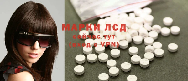 индика Аркадак
