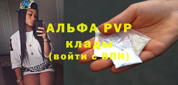 индика Аркадак