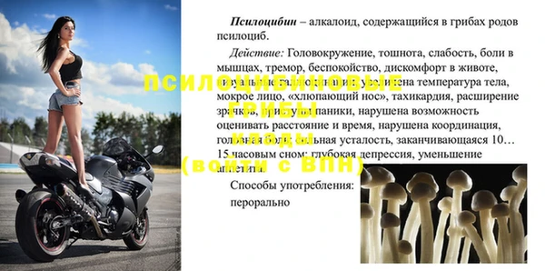индика Аркадак