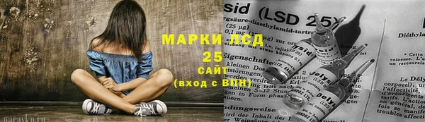 индика Аркадак