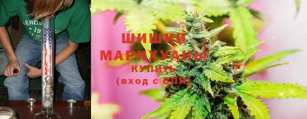индика Аркадак