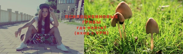 круглые Армянск
