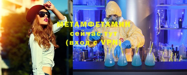 индика Аркадак